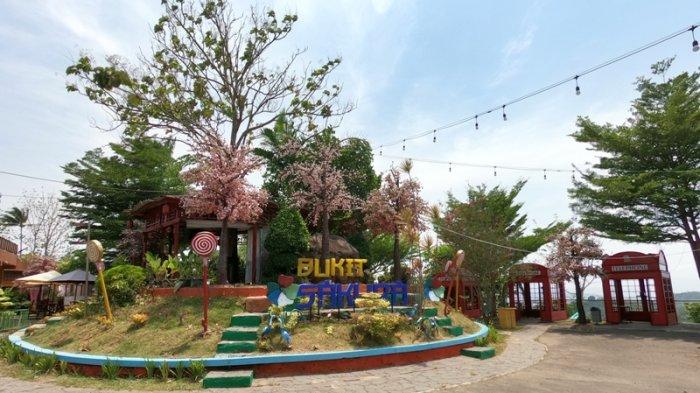 Bukit Sakura Lampung